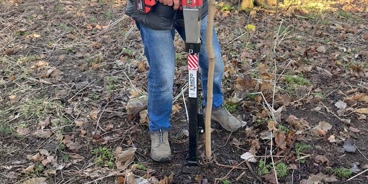 Forestry Management Made Easier: Using Xtracto for Sapling Removal