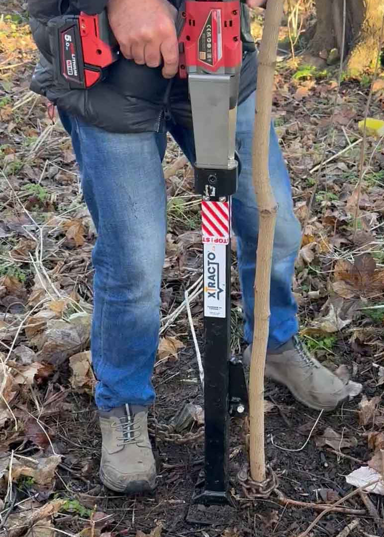 Xtracto removing a self-set tree sapling