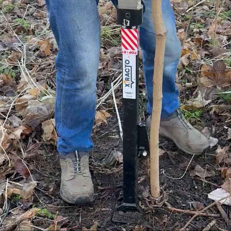 Xtracto removing a self-set tree sapling